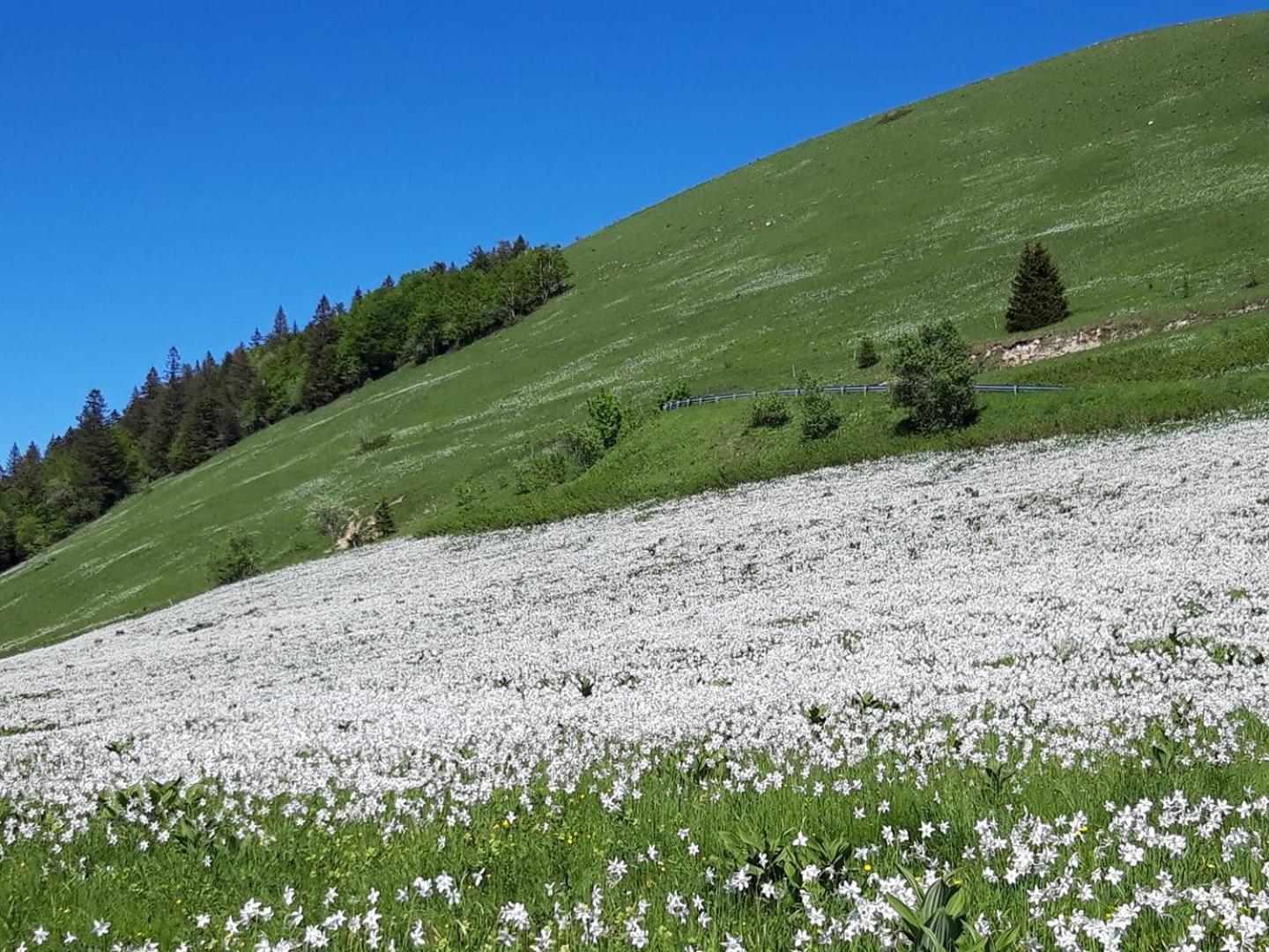 Valreley, Chambres Et Table D'Hotes Eco-Friendly Avec Bain Nordique Au Sud Du Massif Du Jura Champagne-en-Valromey ภายนอก รูปภาพ