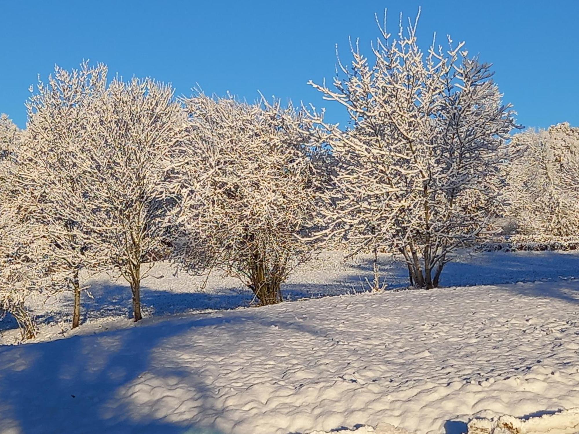 Valreley, Chambres Et Table D'Hotes Eco-Friendly Avec Bain Nordique Au Sud Du Massif Du Jura Champagne-en-Valromey ภายนอก รูปภาพ